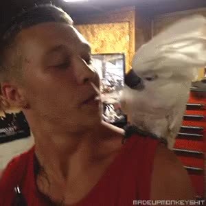 GIF Preview