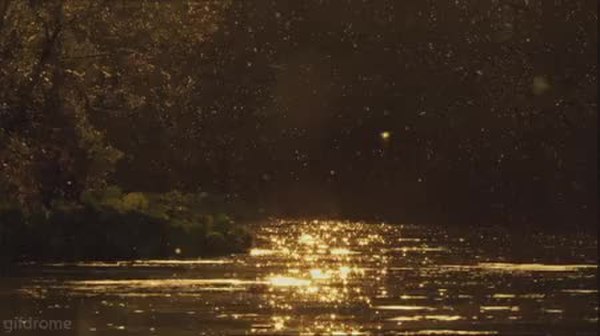 GIF Preview