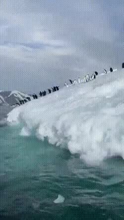 GIF Preview