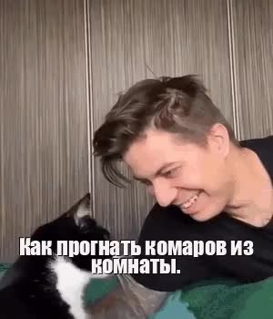 GIF Preview