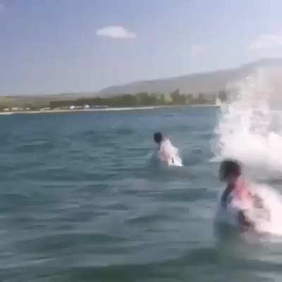 GIF Preview