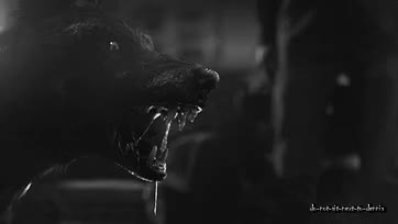 GIF Preview