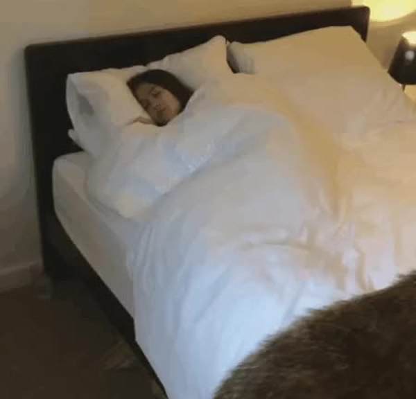 GIF Preview