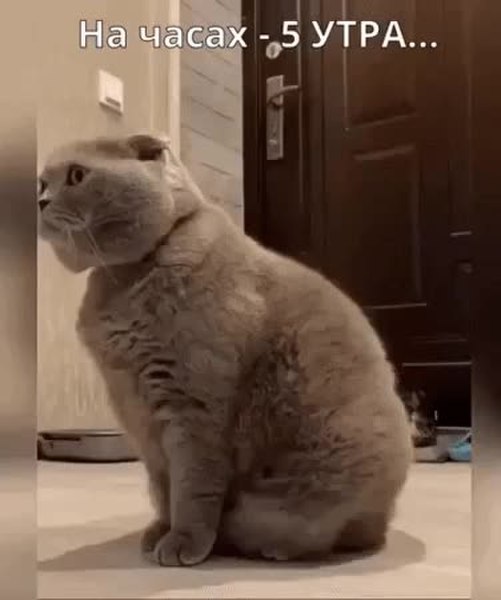 GIF Preview