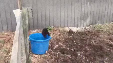 GIF Preview