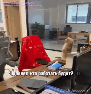 GIF Preview
