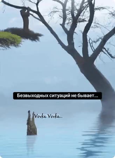 GIF Preview