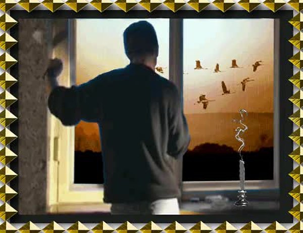 GIF Preview