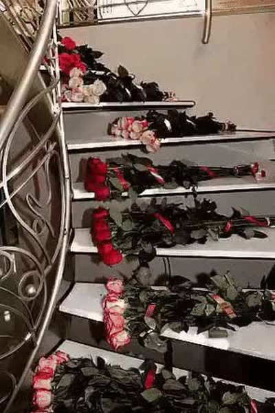 GIF Preview