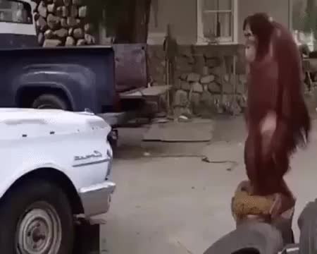 GIF Preview
