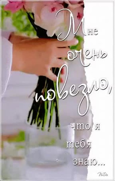 GIF Preview
