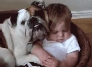 GIF Preview