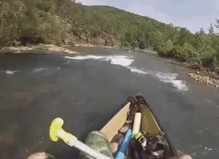 GIF Preview
