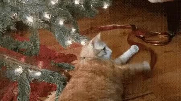 GIF Preview
