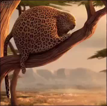 GIF Preview