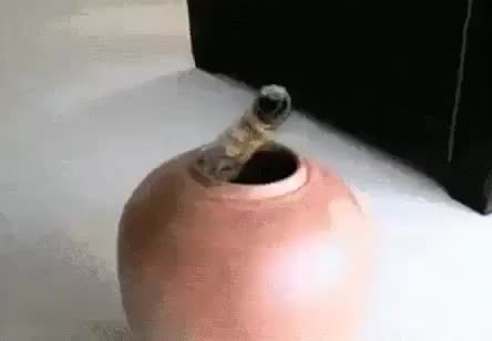 GIF Preview