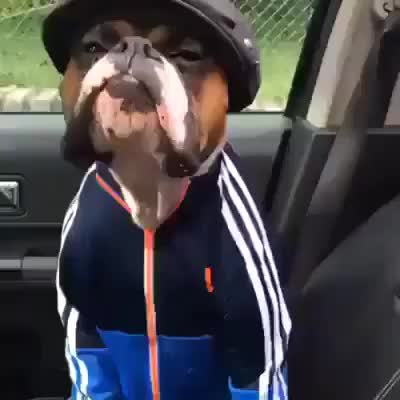GIF Preview
