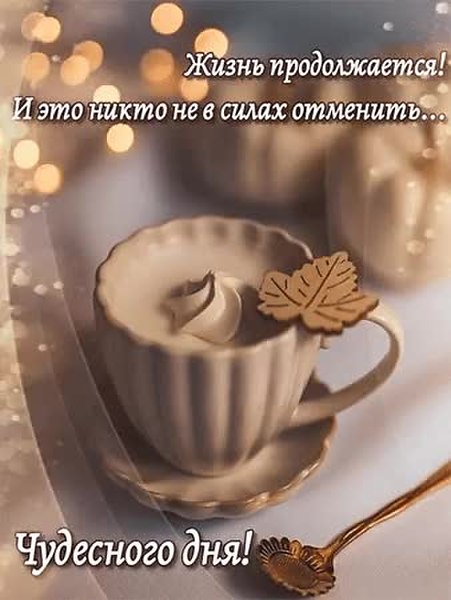 GIF Preview