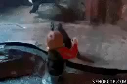 GIF Preview