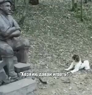 GIF Preview