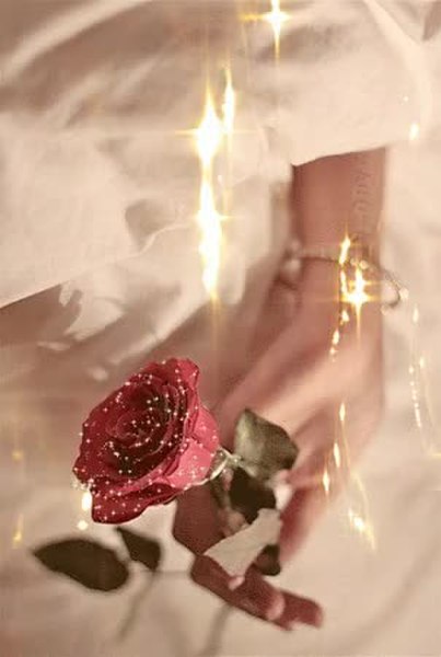 GIF Preview