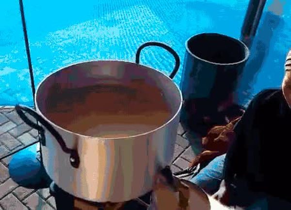GIF Preview