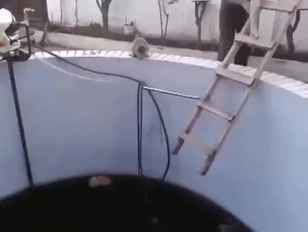 GIF Preview