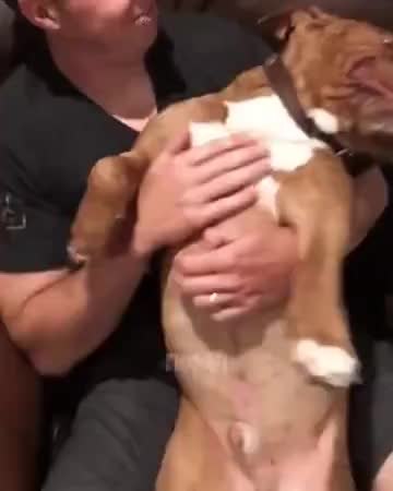 GIF Preview