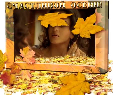 GIF Preview