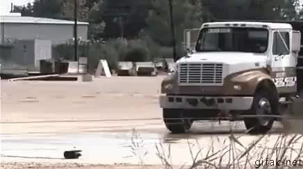 GIF Preview
