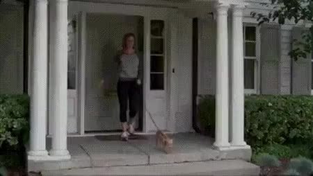 GIF Preview