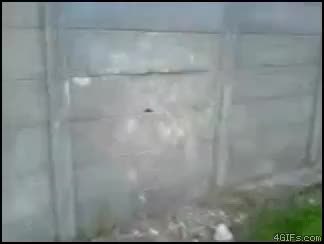 GIF Preview