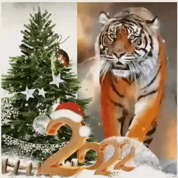 GIF Preview
