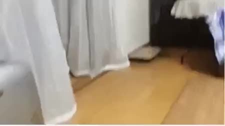 GIF Preview