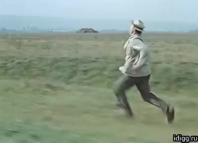 GIF Preview
