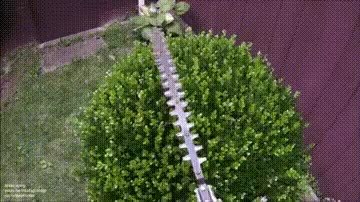 GIF Preview