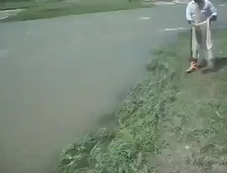 GIF Preview