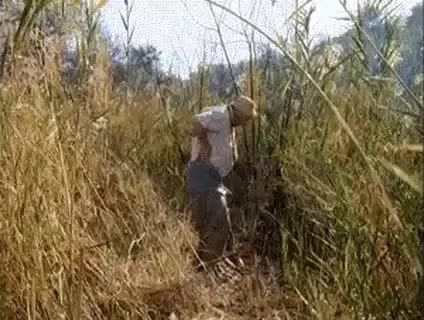 GIF Preview