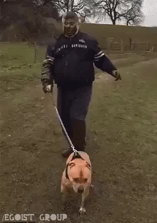 GIF Preview