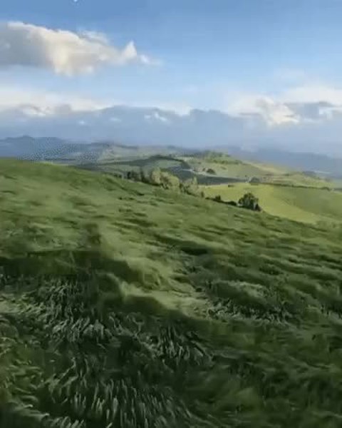 GIF Preview