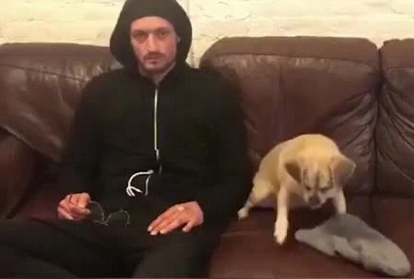 GIF Preview