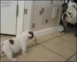 GIF Preview