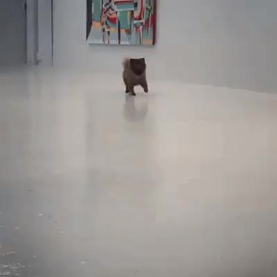 GIF Preview