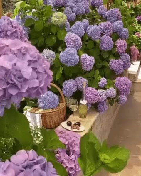 GIF Preview