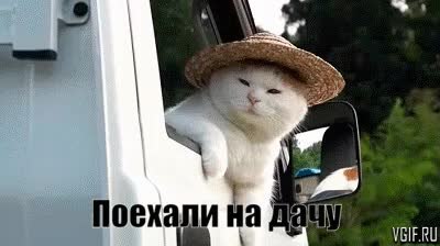 GIF Preview