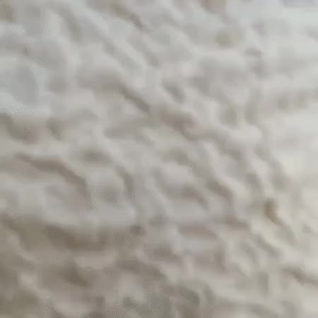 GIF Preview