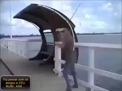 GIF Preview