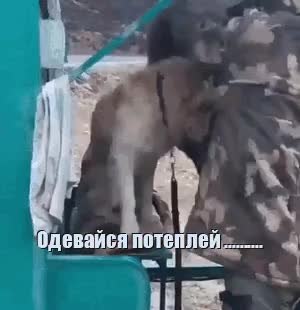 GIF Preview