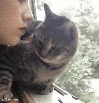 GIF Preview