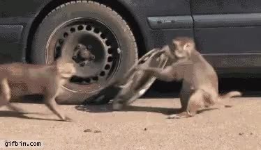 GIF Preview